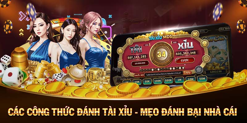 tài xỉu MD5 tài xỉu MD5